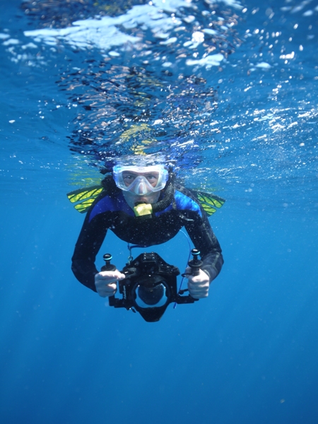 Yours truly, view from the sailfish. Fortunately I bear no resemblance to a sardine. Photo by Britta Siegers.