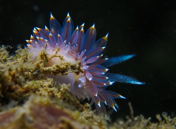 ??????????????????????