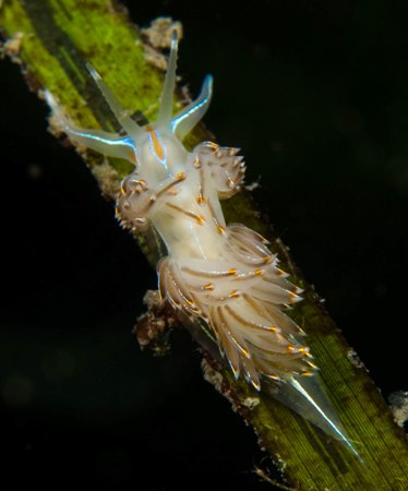 ??????????????????????