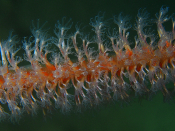 ??????????????????????