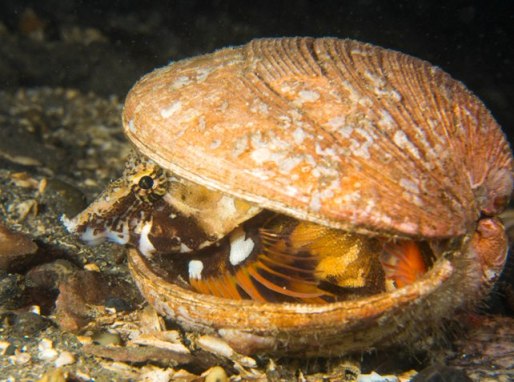 ??????????????????????