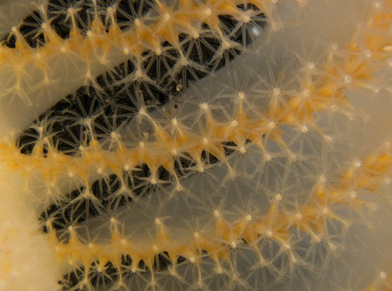 ??????????????????????