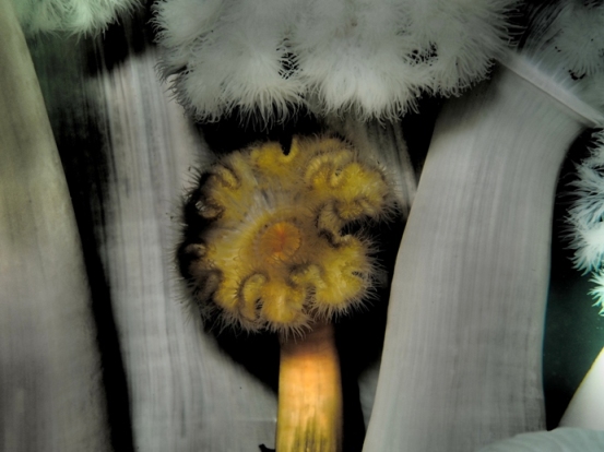 ??????????????????????