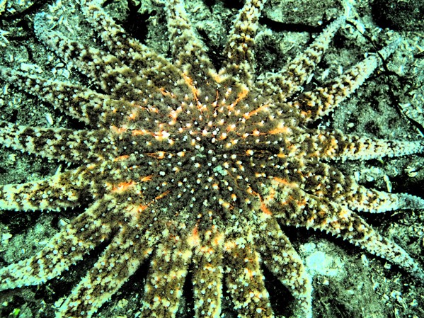 ???????????????????????????????