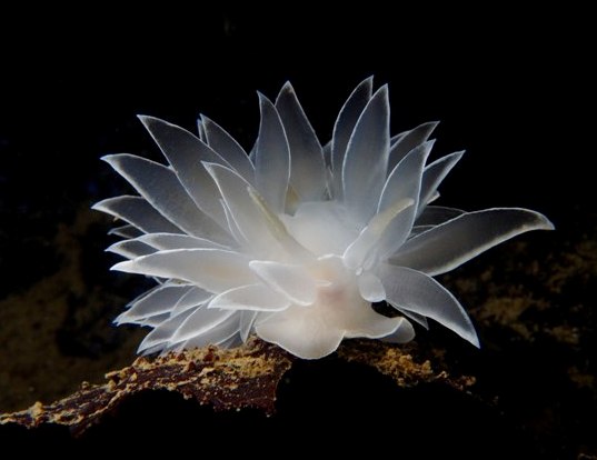 ??????????????????????